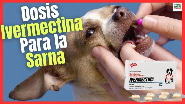 Precio de la ivermectina para perros en Colombia
