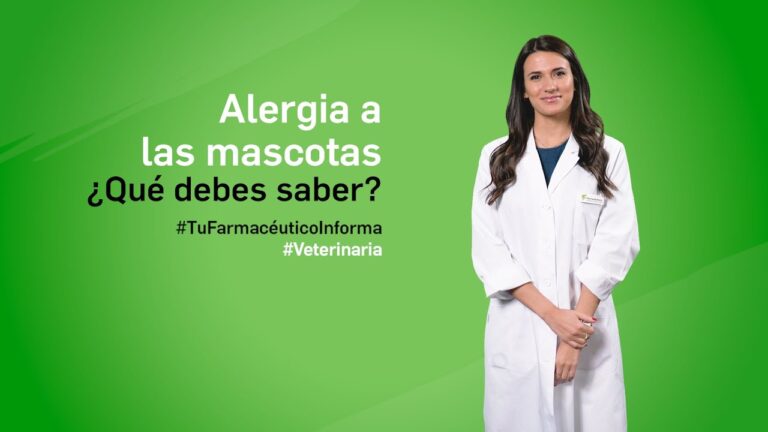 Gu&iacute;a para evitar ambientes alerg&eacute;nicos para mascotas