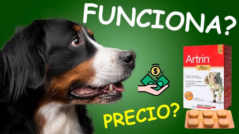 Artril: Usos y beneficios de las tabletas