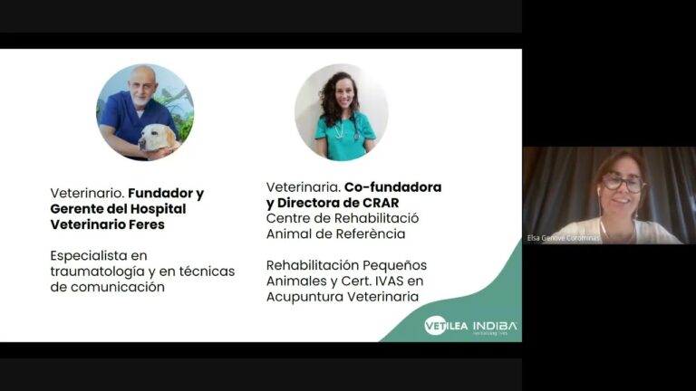 Vida tras el diagn&oacute;stico de insuficiencia card&iacute;aca en mascotas