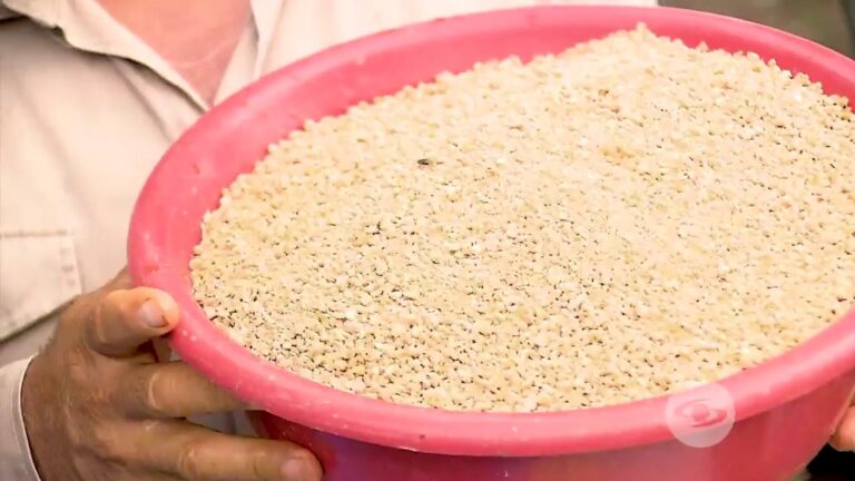 Cat&aacute;logo de Finca Concentrados: Productos Optimizados para tu Granja