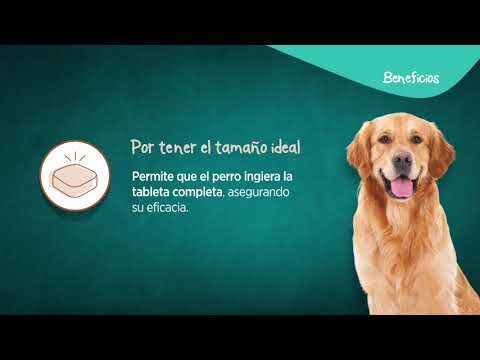 Simparica: Precio en Colombia