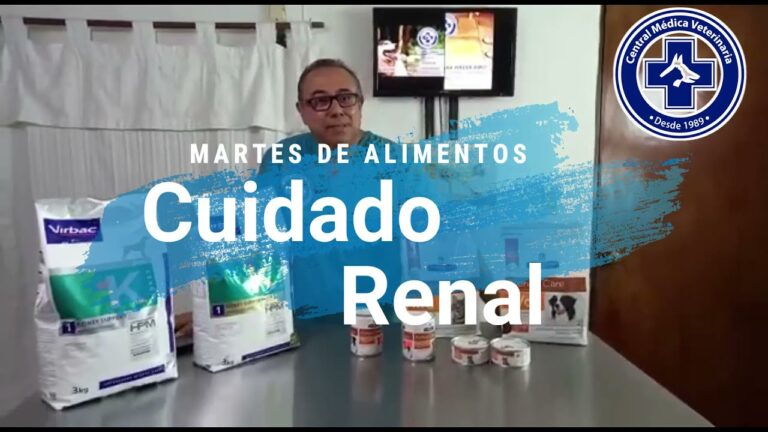 Alimento renal para perros: Gu&iacute;a completa