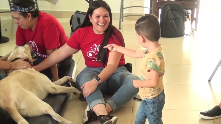 Cuidados paliativos para perros: Gu&iacute;a completa