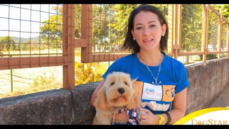 Gu&iacute;a para el diagn&oacute;stico veterinario en perros