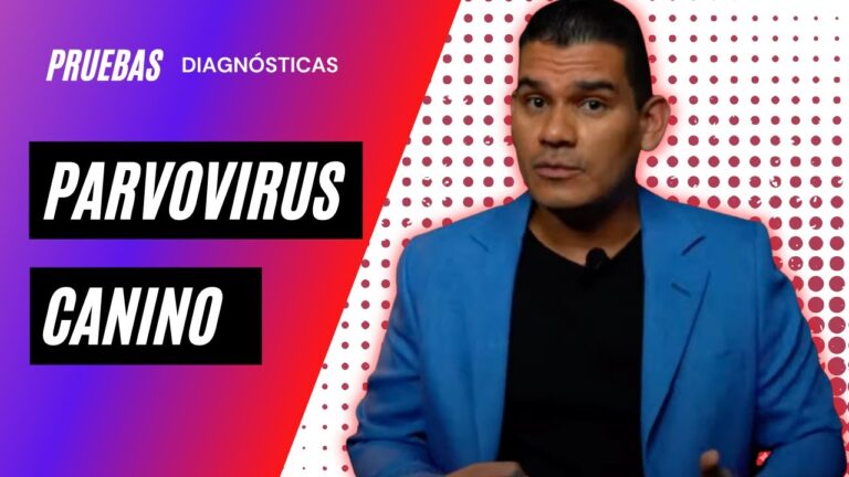Costo de la vacuna para el parvovirus en Colombia