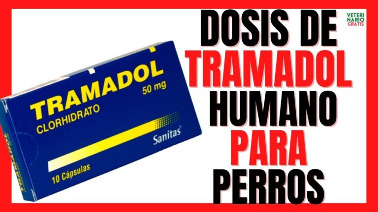 Dosis de Tramadol para Perros: Gu&iacute;a Optimizada