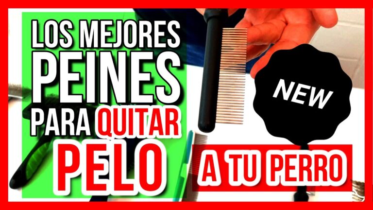 Gu&iacute;a del mejor cepillo para quitar pelo muerto de perro