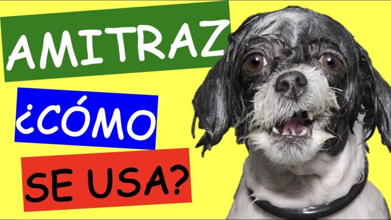 Usos y precauciones de Amitraz en perros