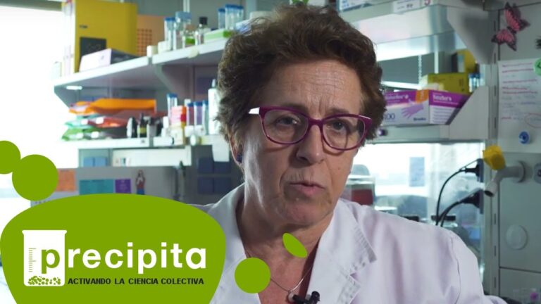 Productos efectivos contra las cucarachas