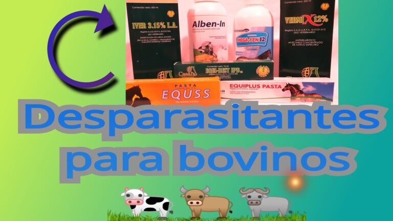 Gu&iacute;a de desparasitantes para bovinos: Optimizando el cuidado del ganado