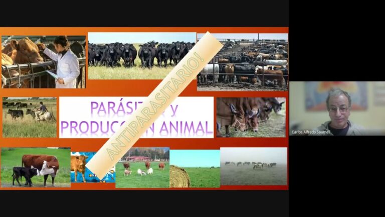 Consecuencias del hipotiroidismo en el comportamiento animal