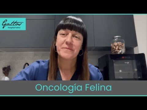 Apoyo emocional para gatos con c&aacute;ncer: Cuidados y bienestar