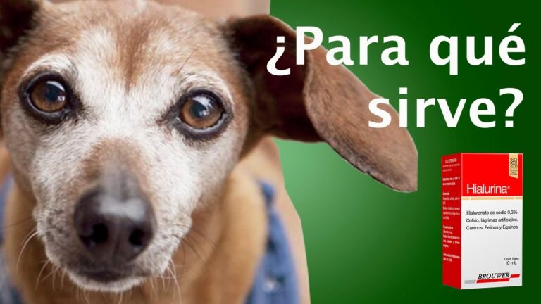 Gu&iacute;a completa de hialurina gotas oft&aacute;lmicas