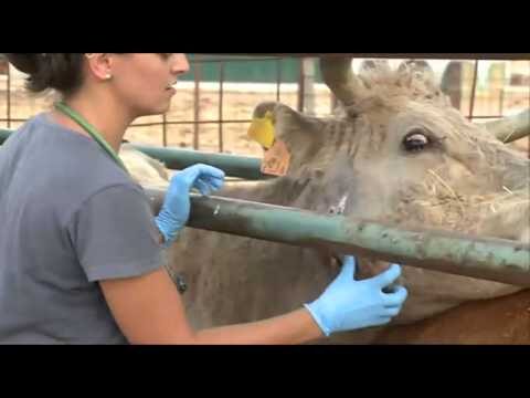 Innovaci&oacute;n y Crecimiento en el Sector Agro