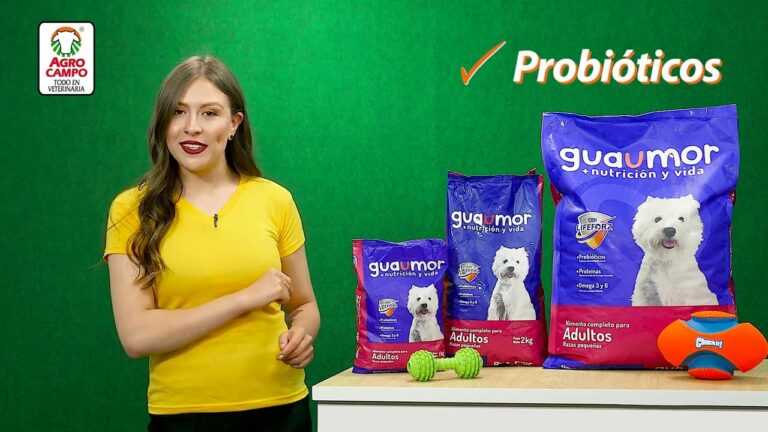 Consejos para controlar el sobrepeso en adultos: Gu&iacute;a de 25 kg