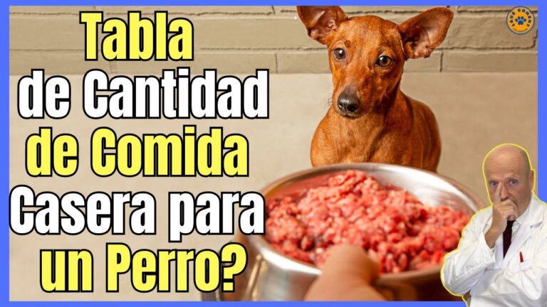 Tabla de porciones de alimentos para perros adultos