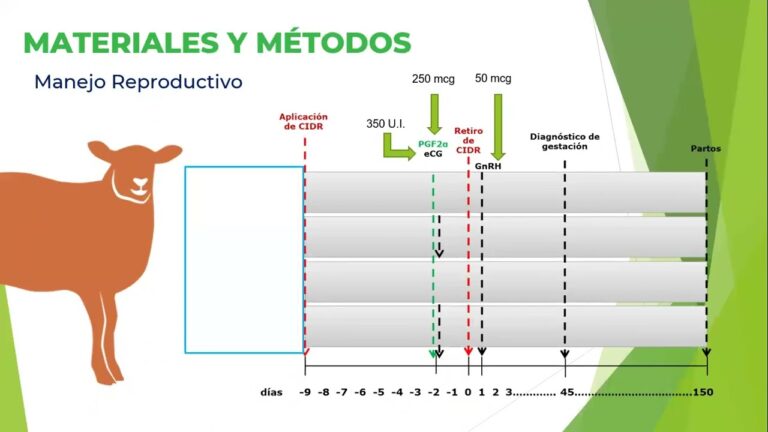 Importancia de la Gonadotropina Cori&oacute;nica Equina en la Reproducci&oacute;n Equina