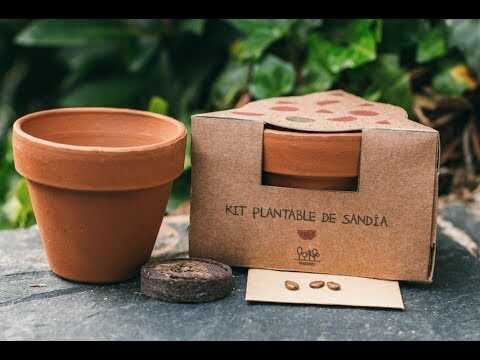 Kit de siembra: Todo lo que necesitas para empezar tu jard&iacute;n