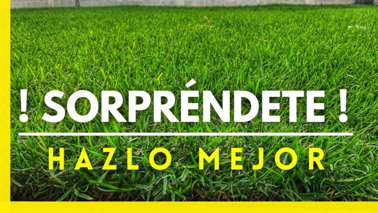 Optimizaci&oacute;n de fertilizantes para pastos en climas fr&iacute;os