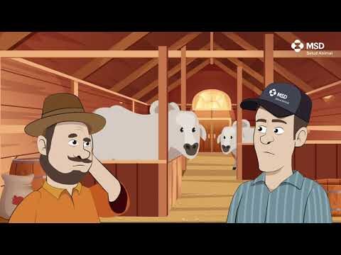 Panacur: usos y beneficios
