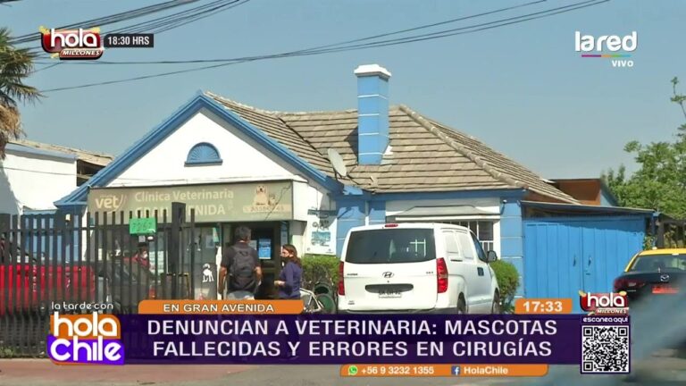perro muere tras procedimiento dental