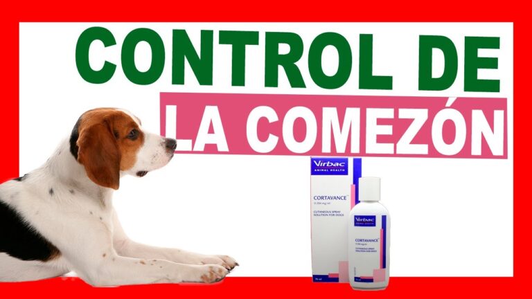Gu&iacute;a completa del precio de Cortavance spray