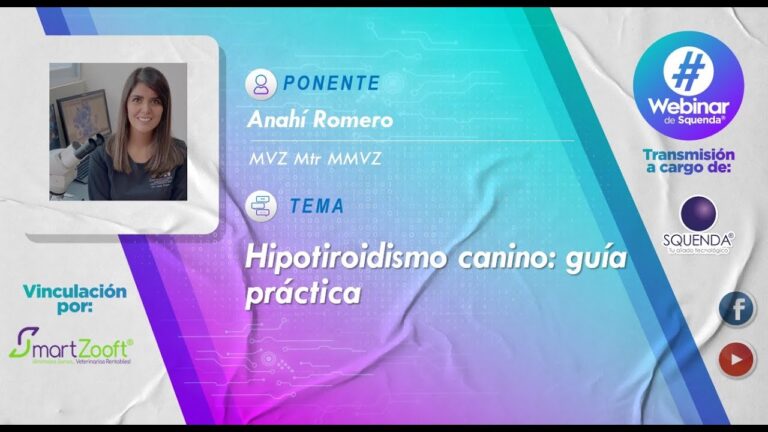 Dosis óptima de Thyro Tabs para perros