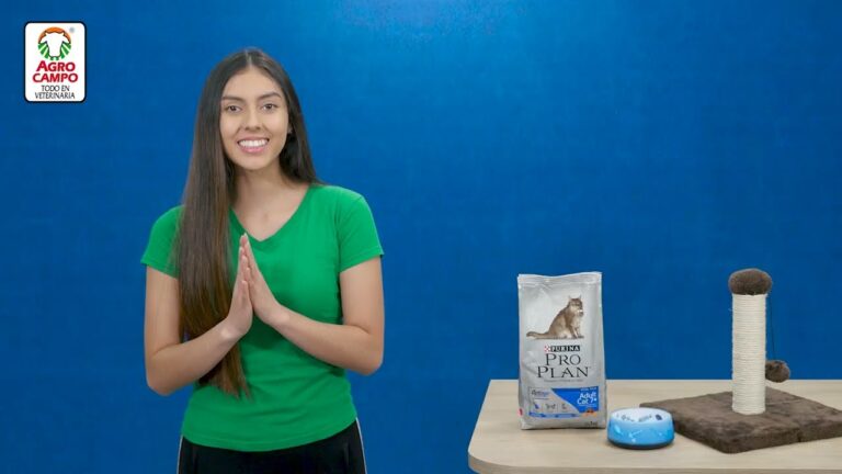 Gu&iacute;a de precios del Pro Plan para gatos