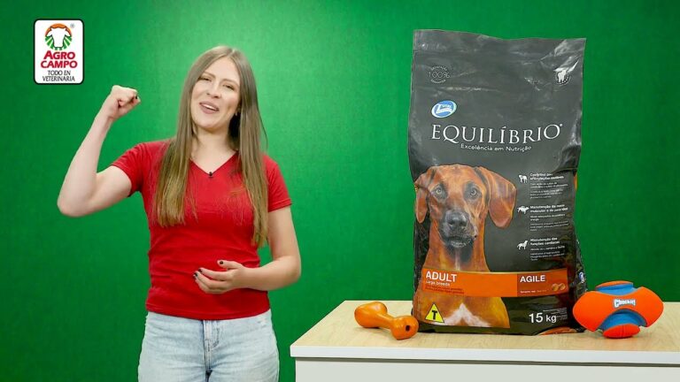 Equilibrio en perros adultos: claves para mantener su bienestar