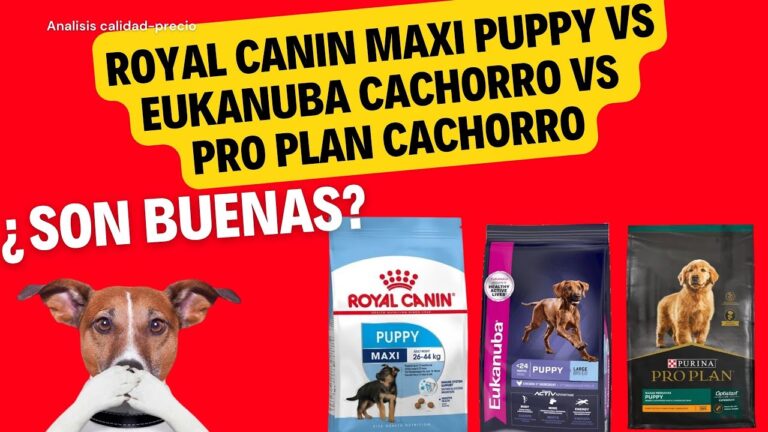 Gu&iacute;a de alimentaci&oacute;n para cachorros Royal Canin Maxi