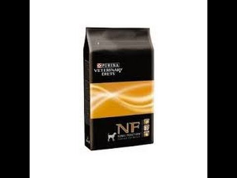 Proplan UR para perros: Gu&iacute;a completa de alimentaci&oacute;n y cuidado