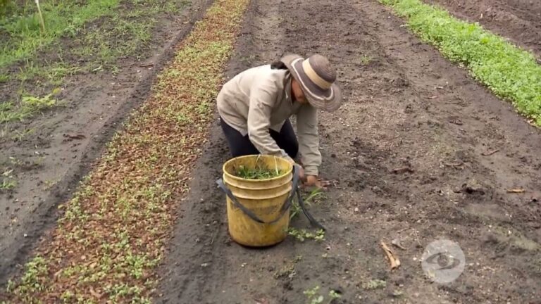 Alimentos ideales para climas c&aacute;lidos