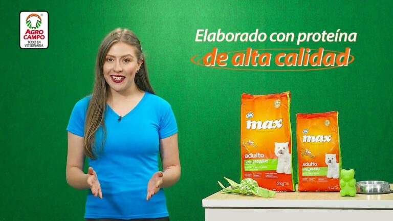 Las Mejores Razas de Perros Pequeños: Guía de Razas Miniatura