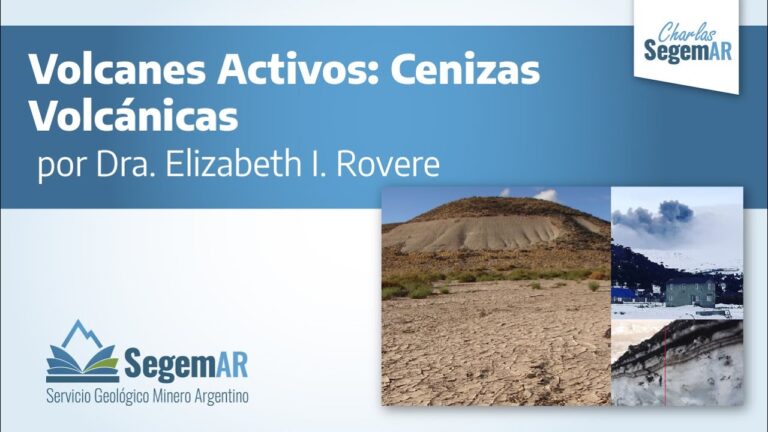 El impacto de la contaminaci&oacute;n en la salud respiratoria de las mascotas