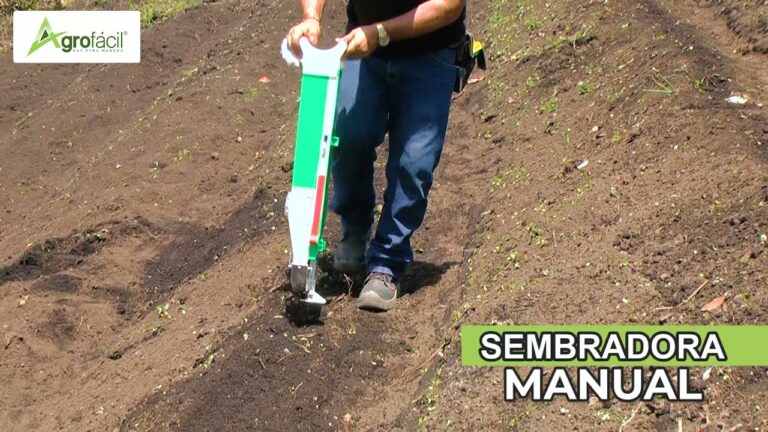 Gu&iacute;a de compra de sembradoras de ma&iacute;z: Consejos para elegir la mejor opci&oacute;n