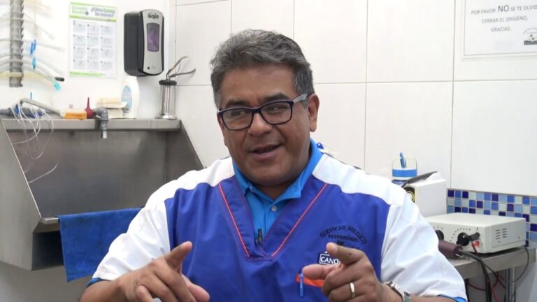 Consejos para prevenir problemas urinarios en gatos