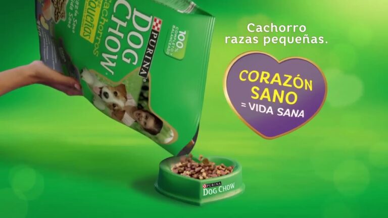 Gu&iacute;a de alimentaci&oacute;n para cachorros de razas peque&ntilde;as: Dog Chow