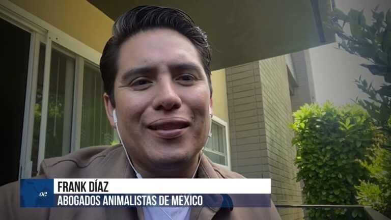 Aumento de la demanda de microchips para mascotas en Tijuana antes de nueva regulaci&oacute;n fronteriza