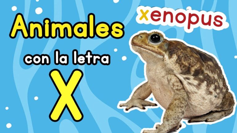 Animales por la X: Descubre la Importancia de Esta Letra en la Naturaleza