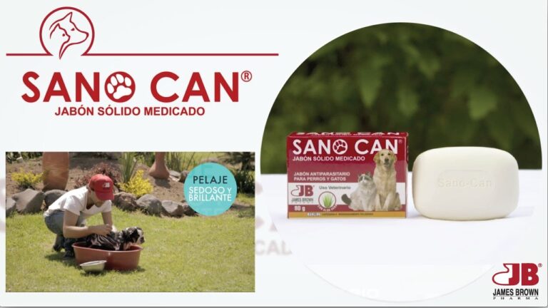 Beneficios del jab&oacute;n medicado para perros: gu&iacute;a completa