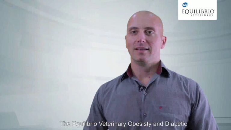 Equilibrio renal en perros: todo lo que debes saber