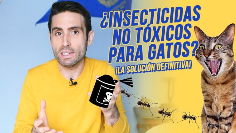 Insecticida no t&oacute;xico para mascotas: una alternativa segura