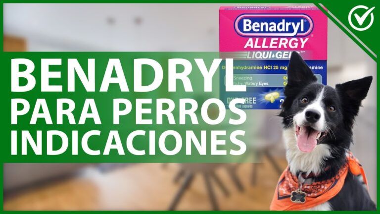 Gu&iacute;a de dosis de difenhidramina para perros