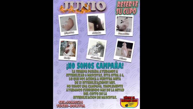 Exitosa campa&ntilde;a de esterilizaci&oacute;n en Temixco