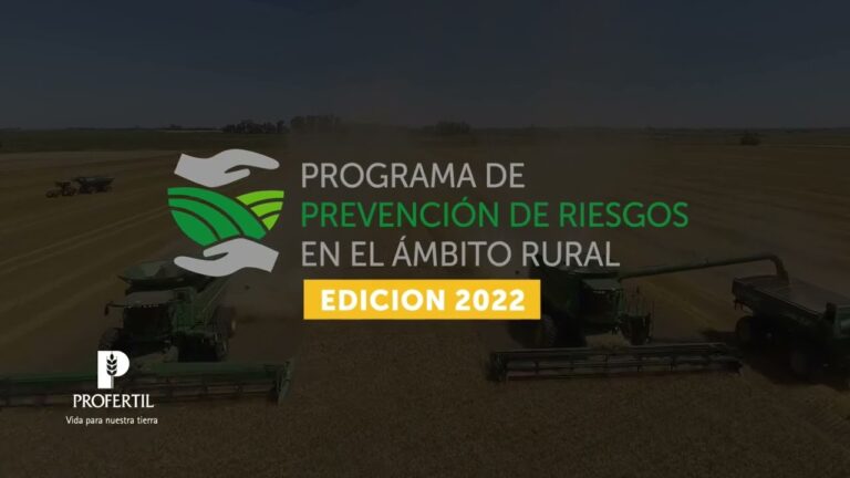 La importancia de la salud respiratoria en mascotas