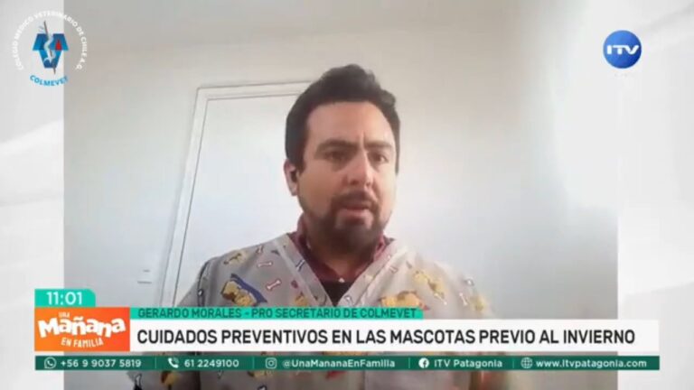 Consejos para Cuidados Preventivos de Mascotas