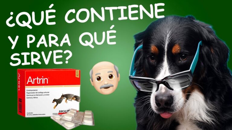 Dosis &oacute;ptimas de Artritabs para perros