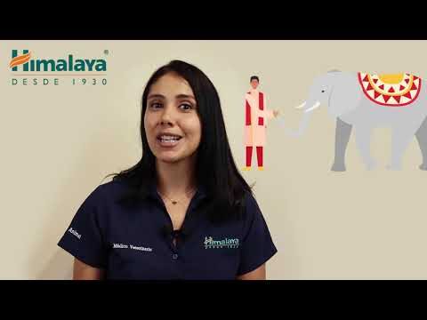 Chemovet revoluciona el sector veterinario con sus innovaciones en medicamentos para mascotas