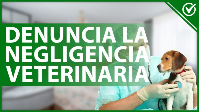 &iquest;C&oacute;mo detectar una mala praxis veterinaria con tu mascota?